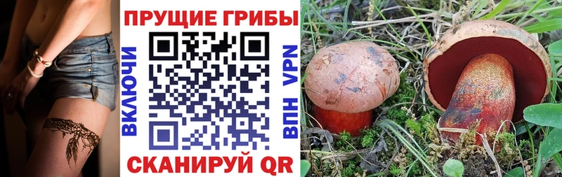 хочу   Нижняя Тура  мориарти телеграм  Псилоцибиновые грибы Cubensis 